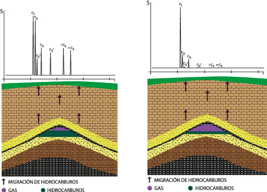 Gases Adsorbidos